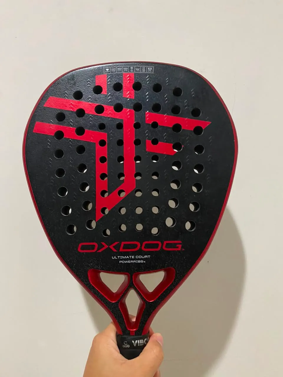 ULTIMATE COURT 2025