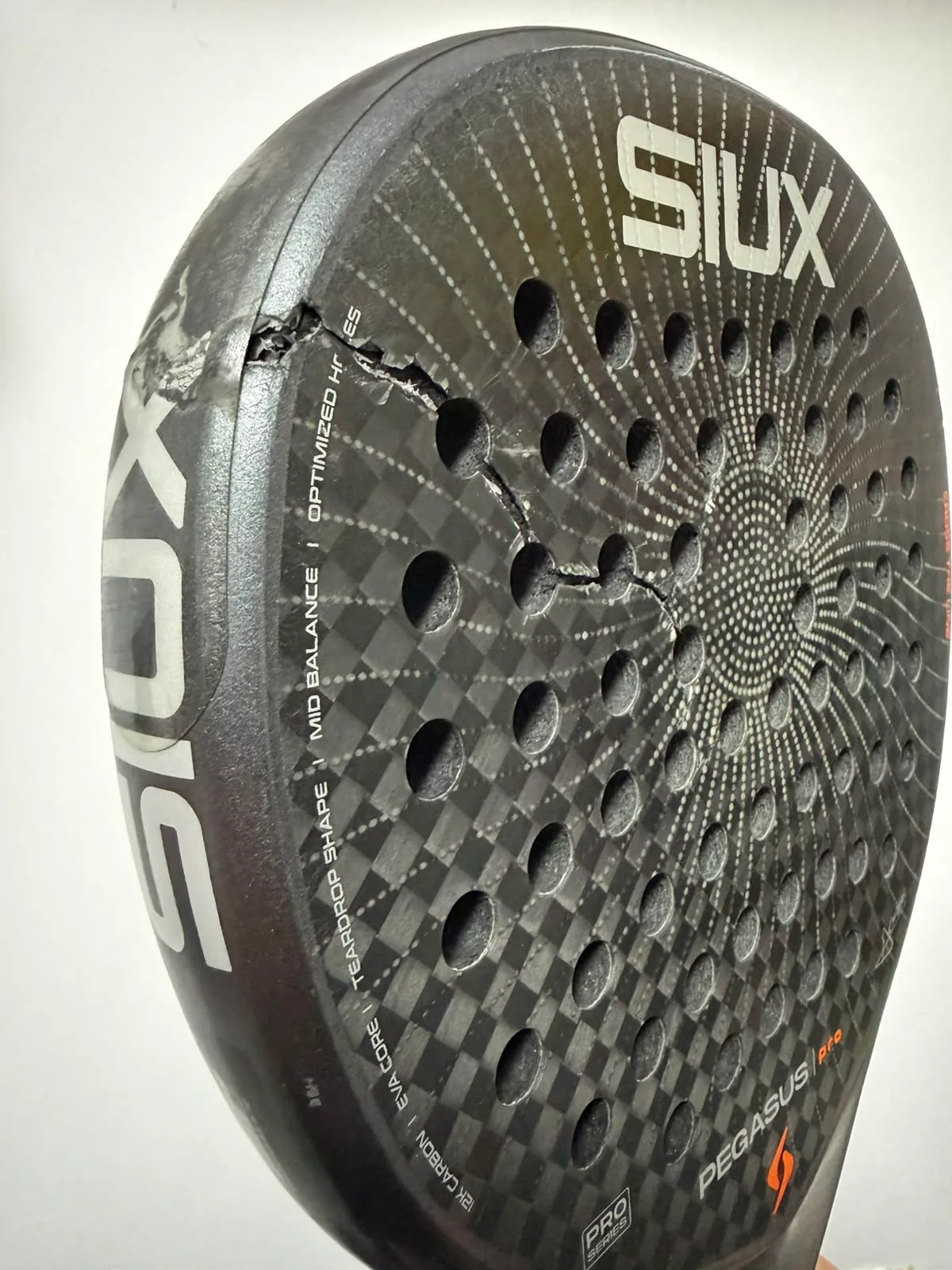 PEGASUS PRO GREY 2026 — photo 1
