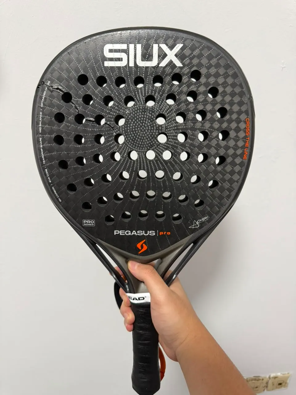 PEGASUS PRO GREY 2026 — photo 4