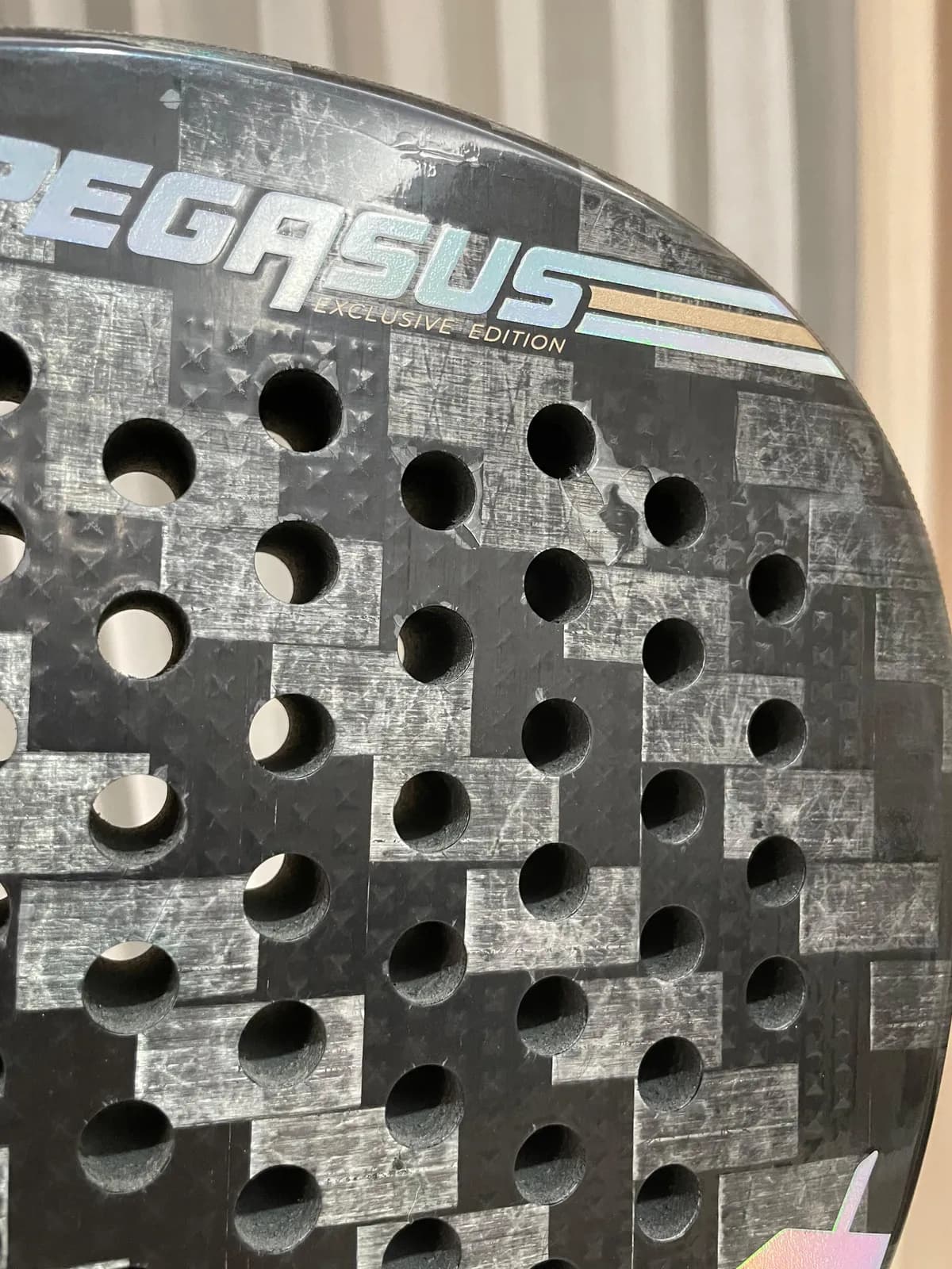 PEGASUS GV LIMITED EDITION — photo 3