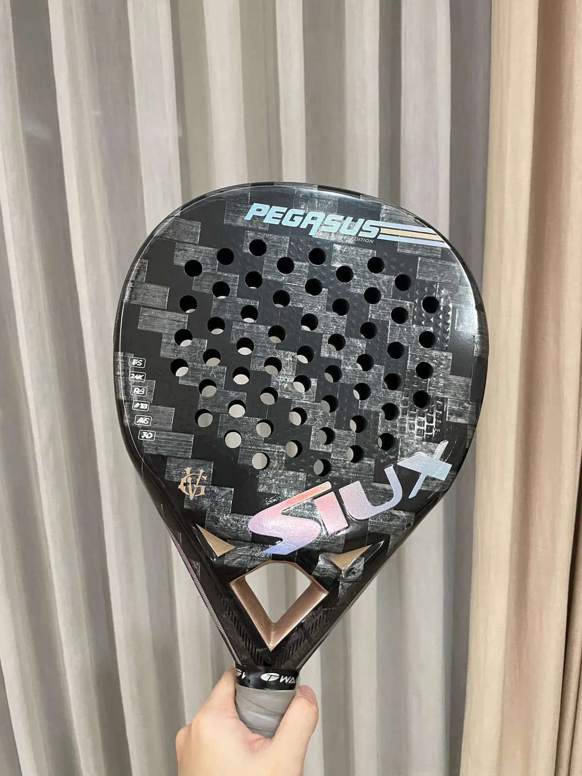 PEGASUS GV LIMITED EDITION — photo 6